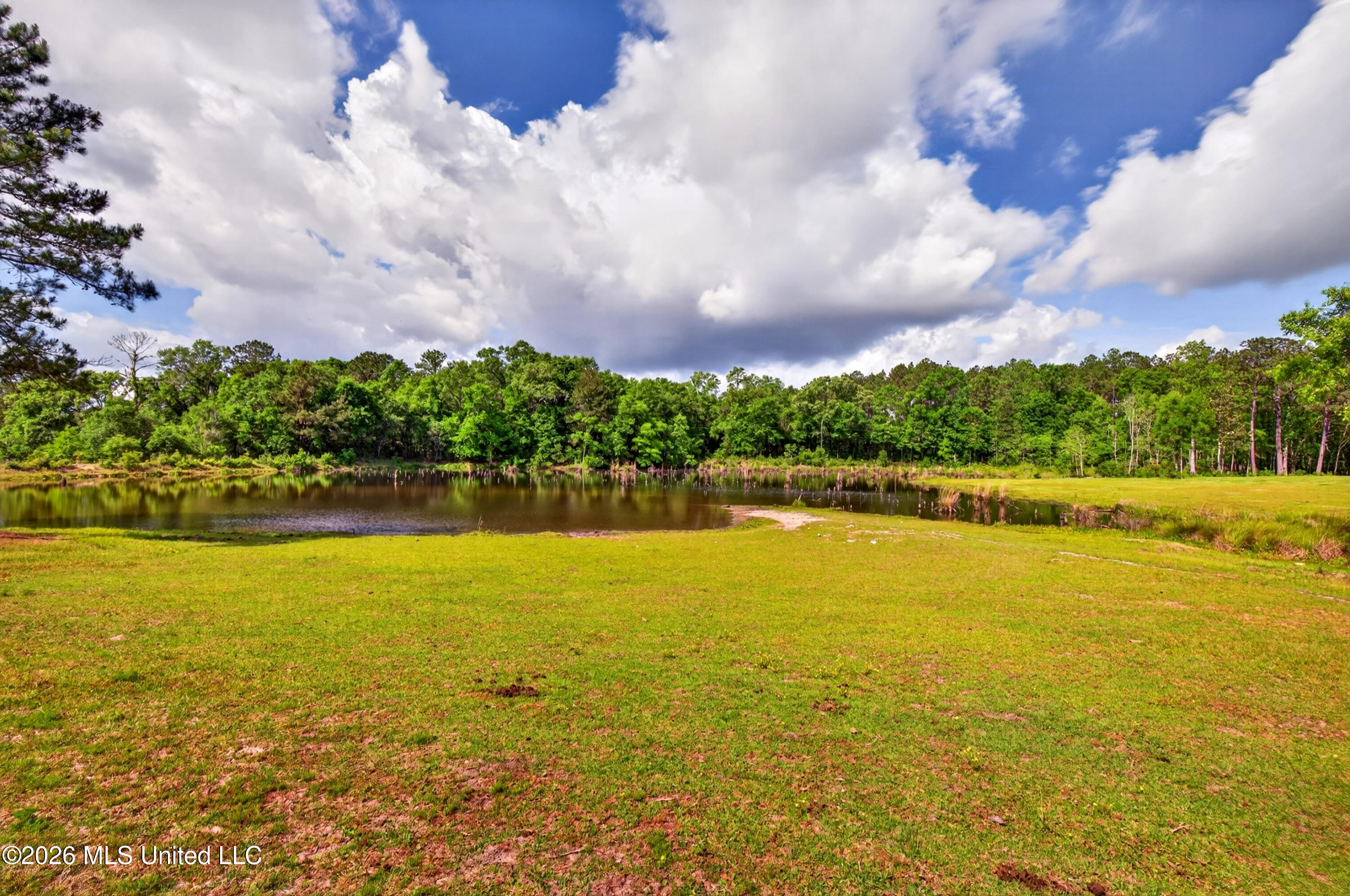 181 Debert Adams Road Lucedale, MS 39452 - Photo 56 of 92 181DebertAdamsRd-20
