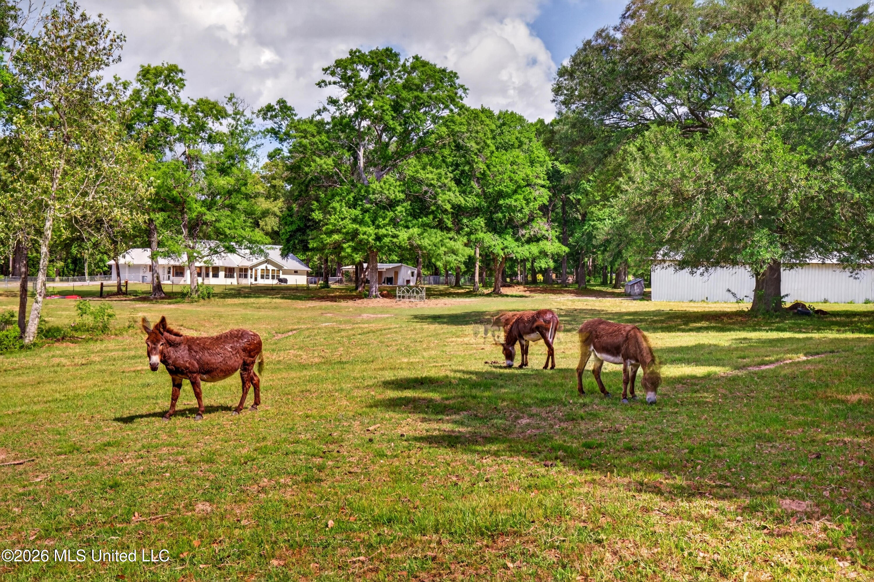 181 Debert Adams Road Lucedale, MS 39452 - Photo 57 of 92 181DebertAdamsRd-22