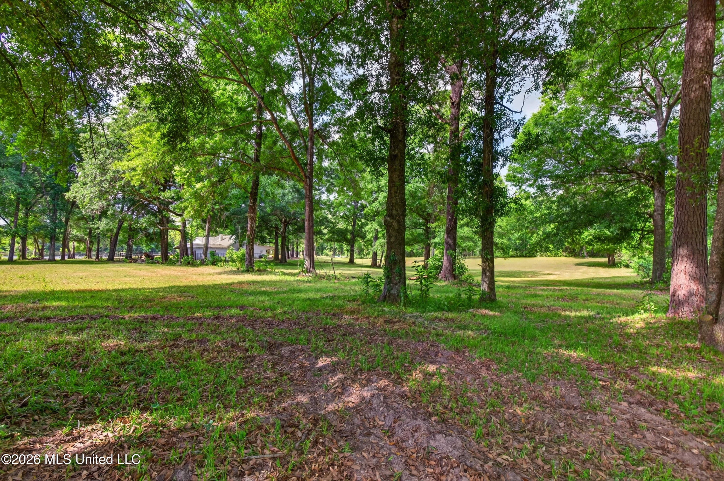 181 Debert Adams Road Lucedale, MS 39452 - Photo 68 of 92 181DebertAdamsRd-34