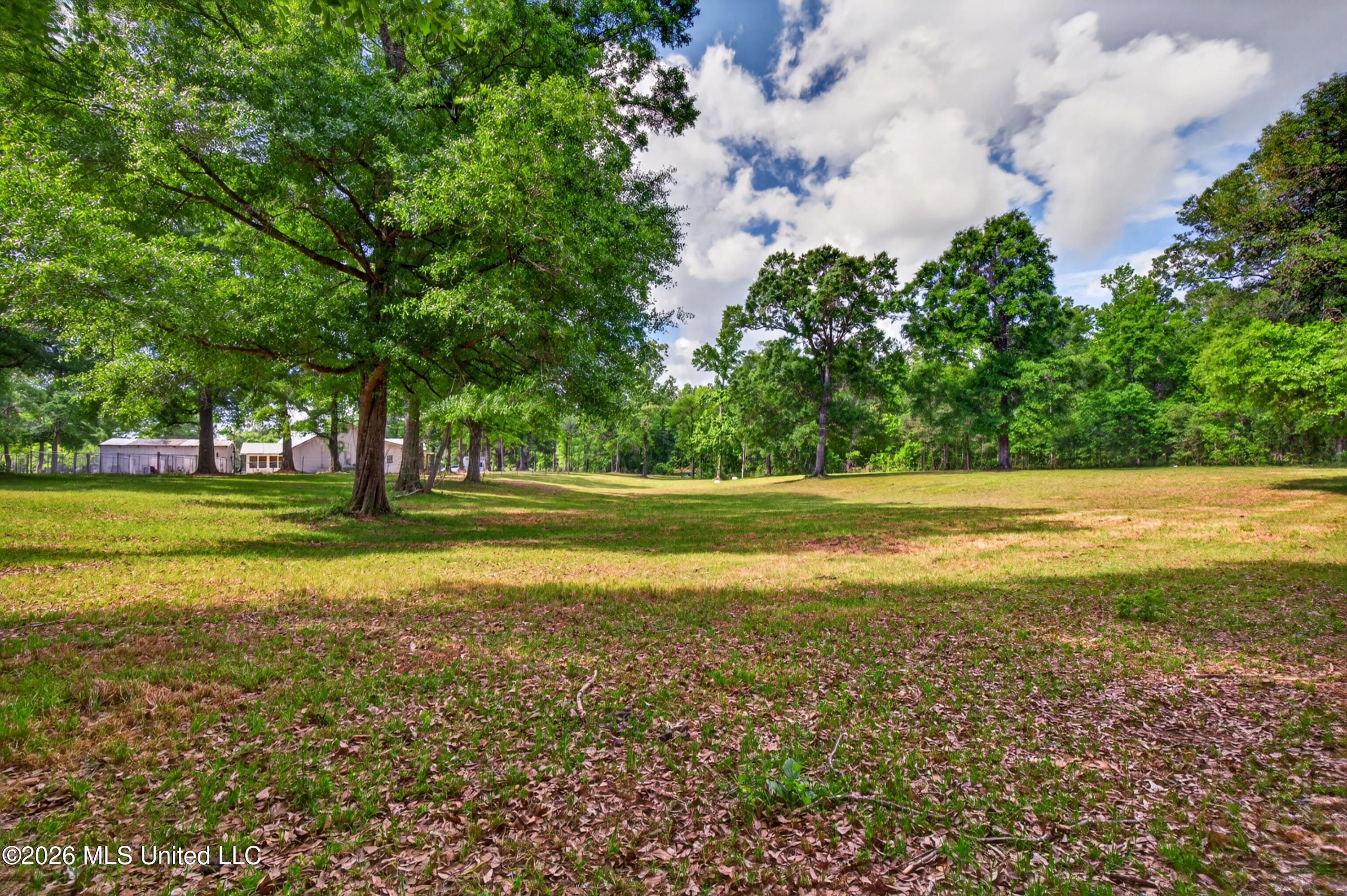 181 Debert Adams Road Lucedale, MS 39452 - Photo 69 of 92 181DebertAdamsRd-35