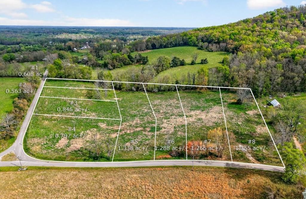 0 Webbs Camp Road Walling, TN 38587 - Photo 1 of 4