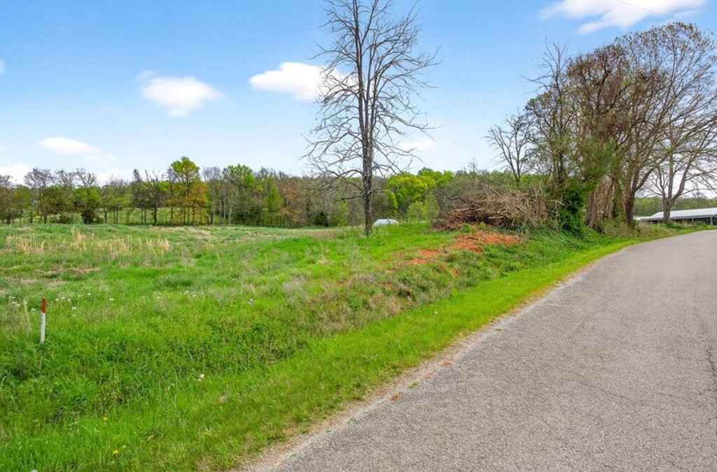 0 Webbs Camp Road Walling, TN 38587 - Photo 3 of 4
