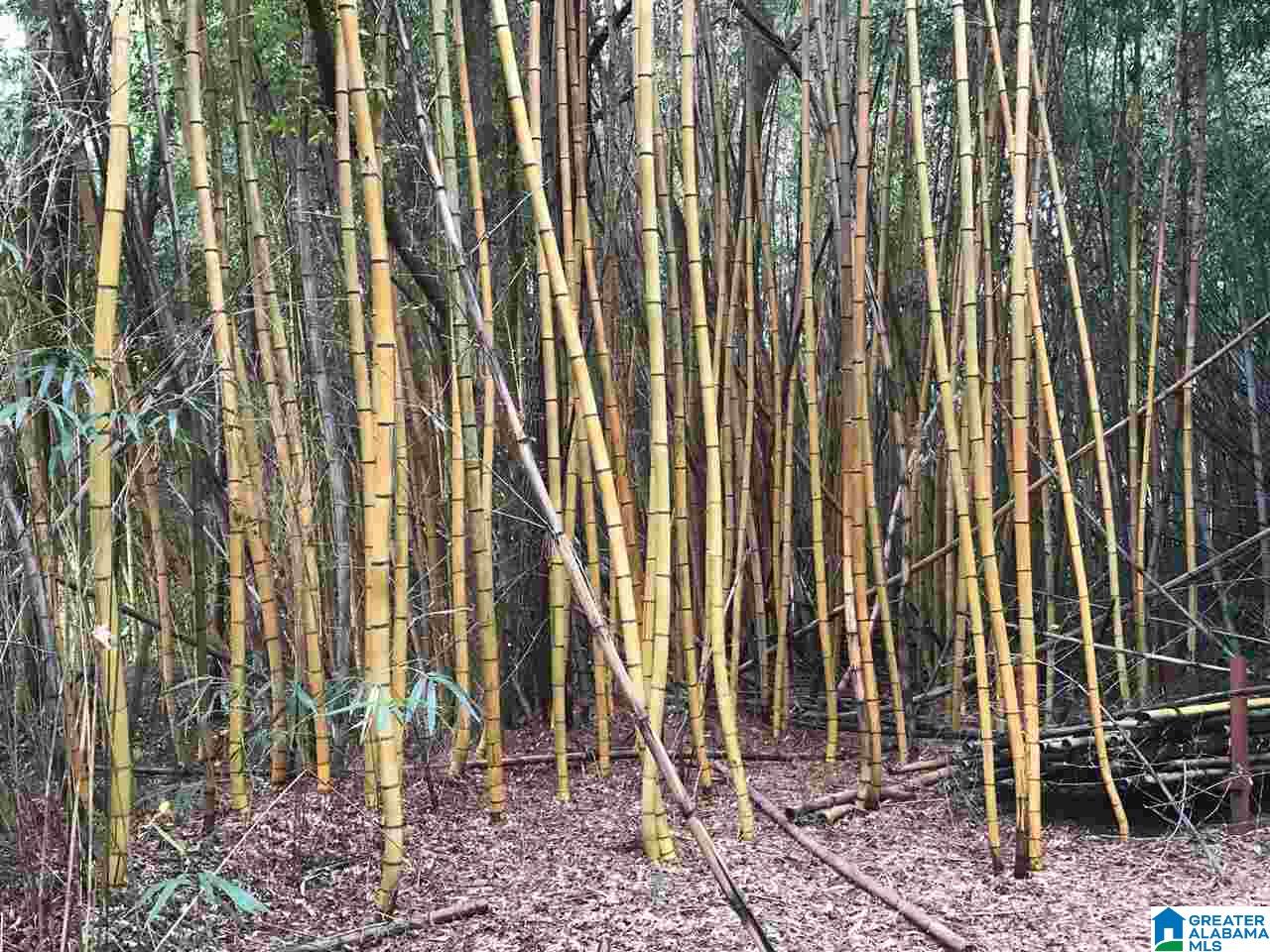 3415 Logan Martin Dam Road, Unit 48 / ACRES Vincent, AL 35178 - Photo 10 of 32