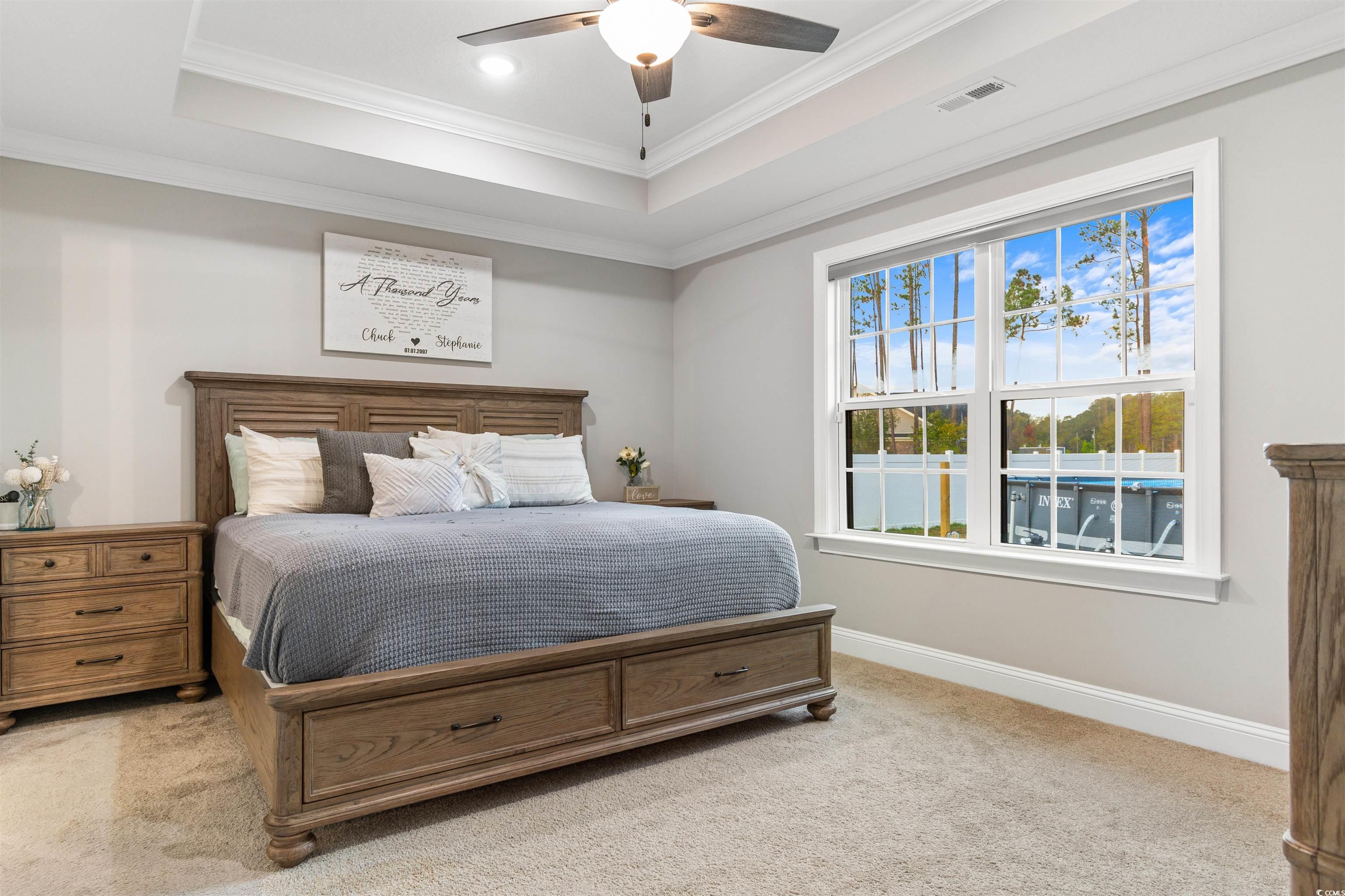 2299 Vaught Road Galivants Ferry, SC 29544 - Photo 17 of 40 Carpeted bedroom with ceiling fan, a tray ceiling,