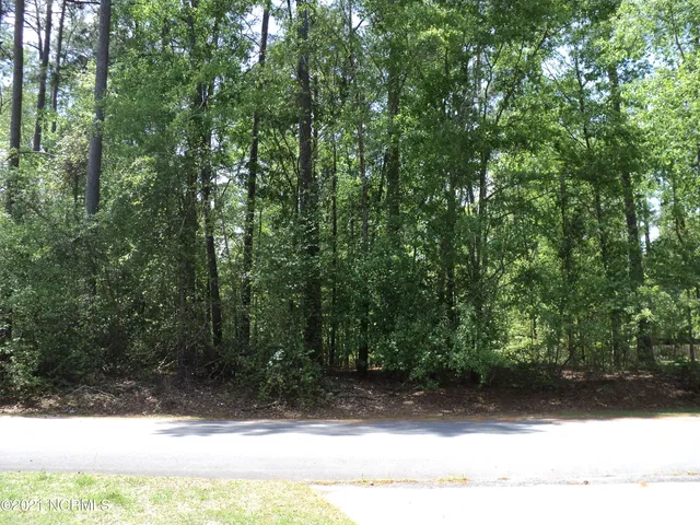 $58,000 | Lot 53 West Fairway Drive, Washington, NC 27889