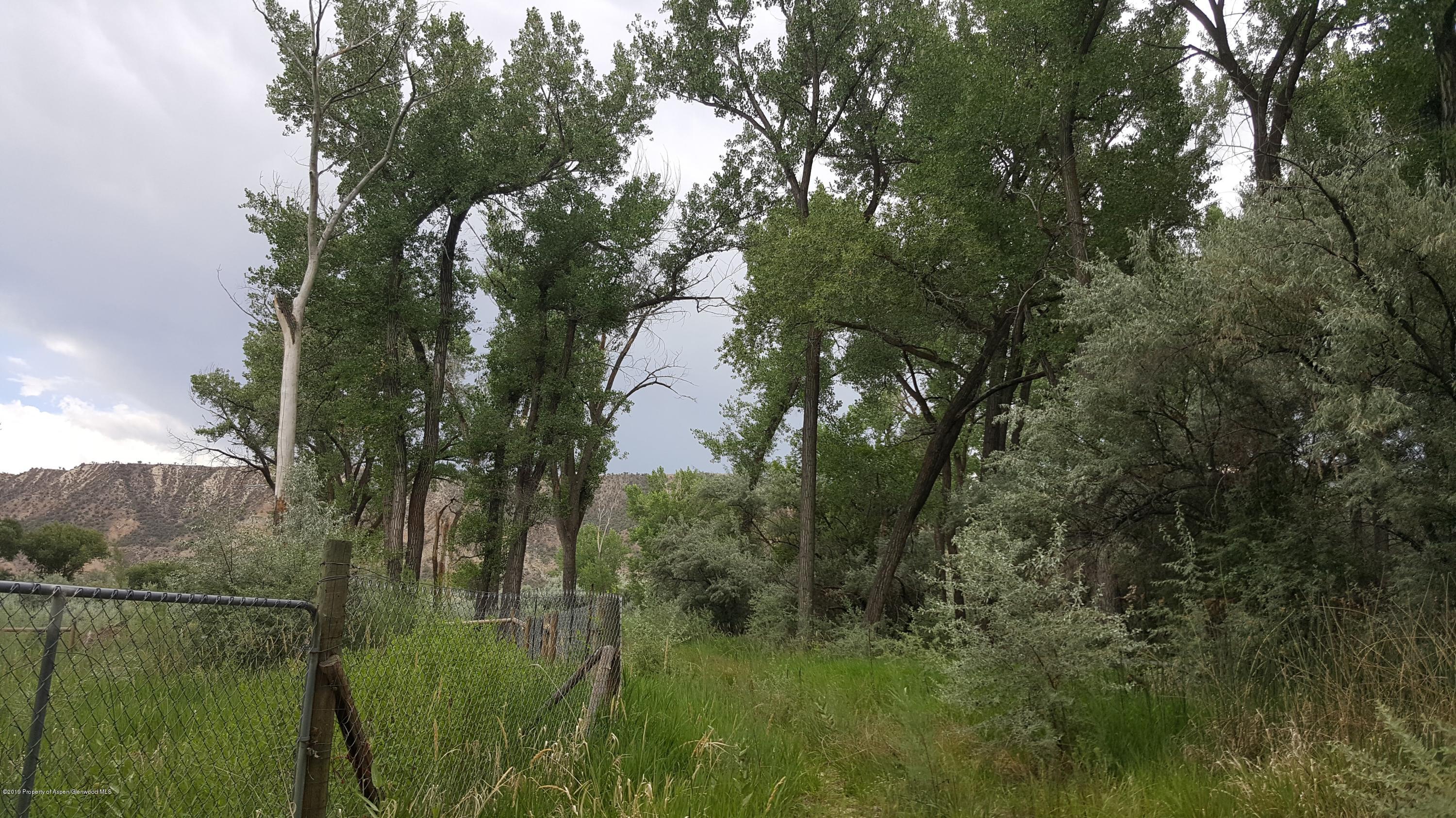 25300 Us-6 Rifle, CO 81650 - Photo 15 of 27 20170716_150308