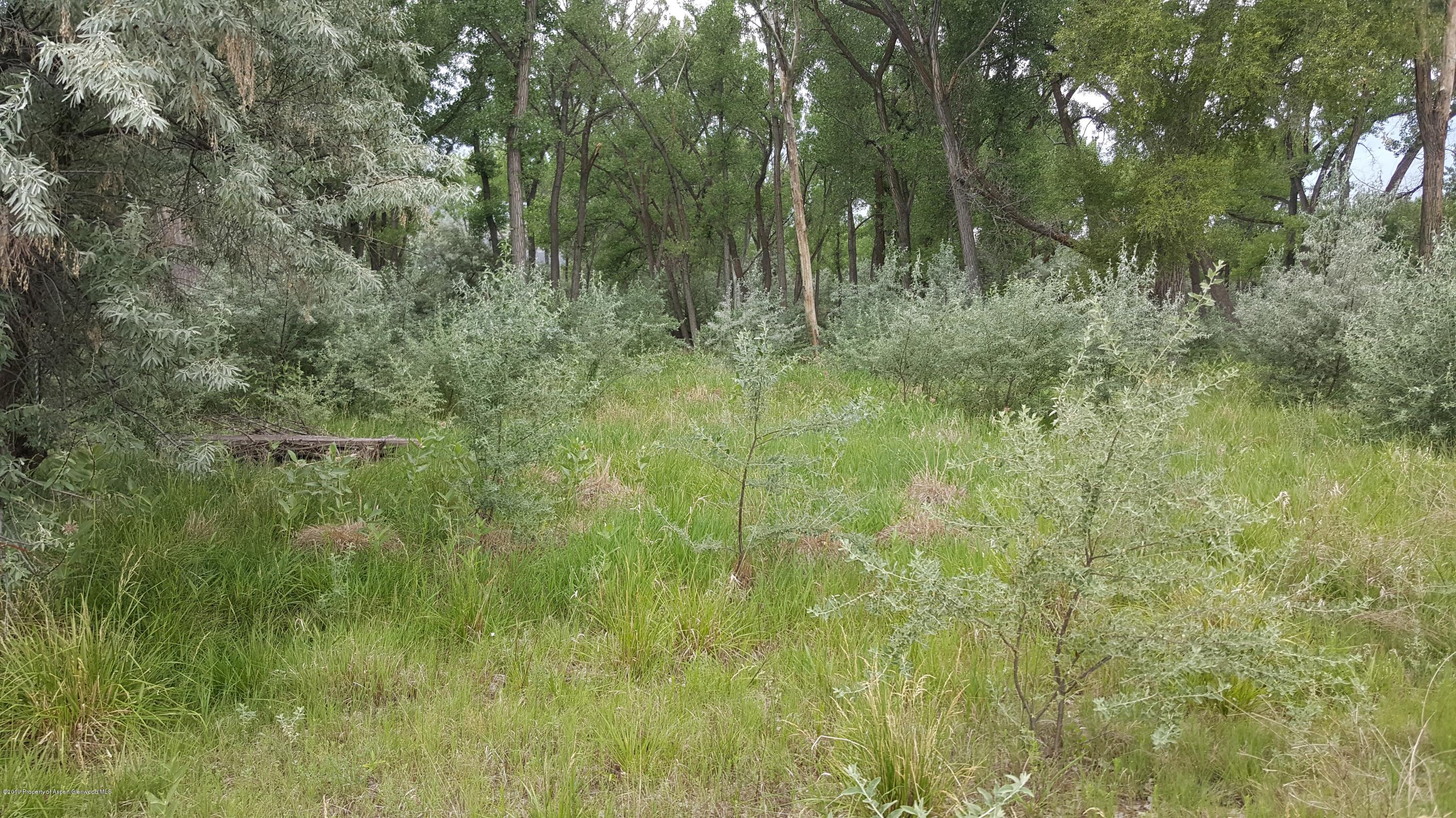 25300 Us-6 Rifle, CO 81650 - Photo 20 of 27 20170716_150432