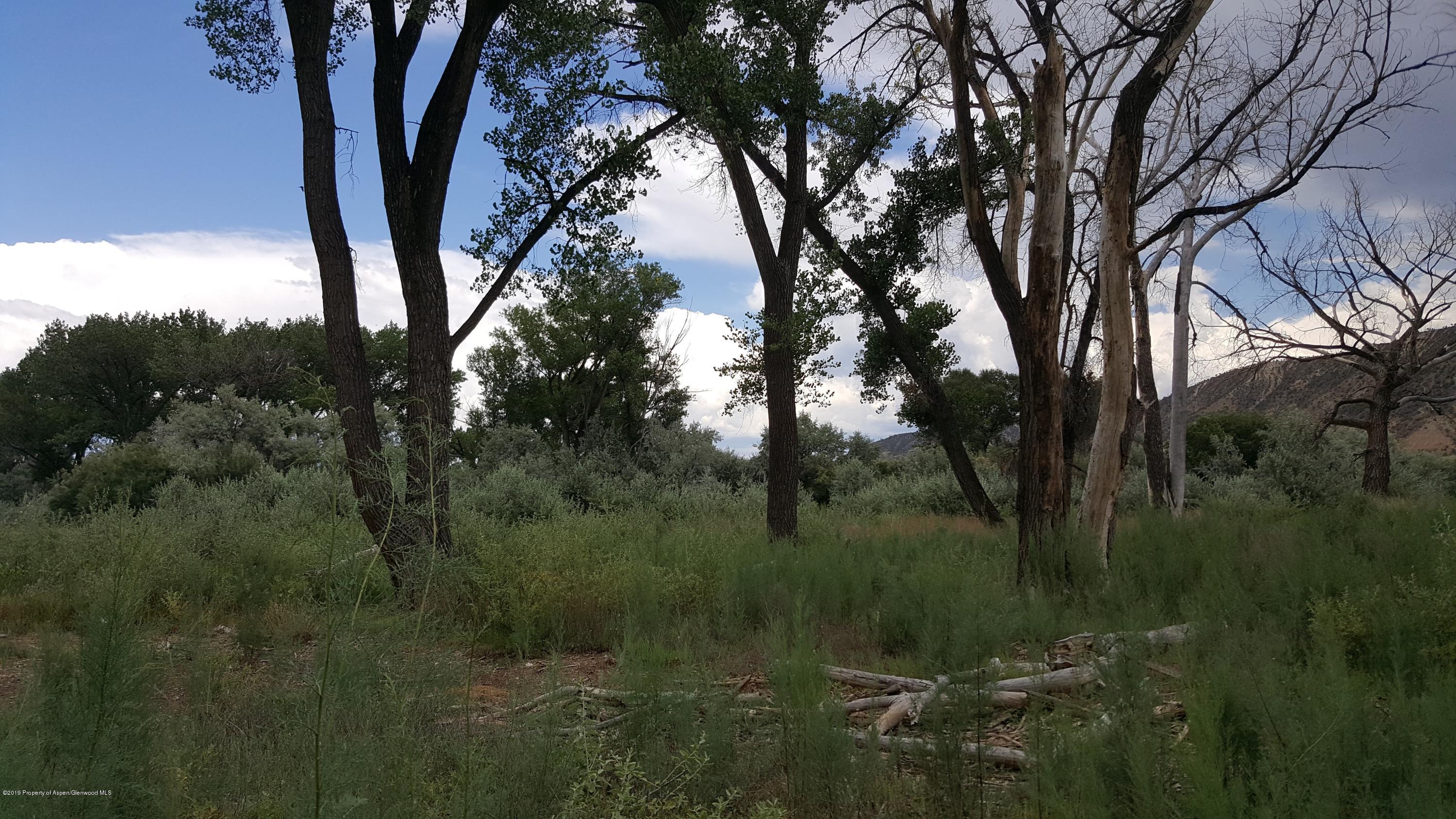 25300 Us-6 Rifle, CO 81650 - Photo 4 of 27 20170716_150135
