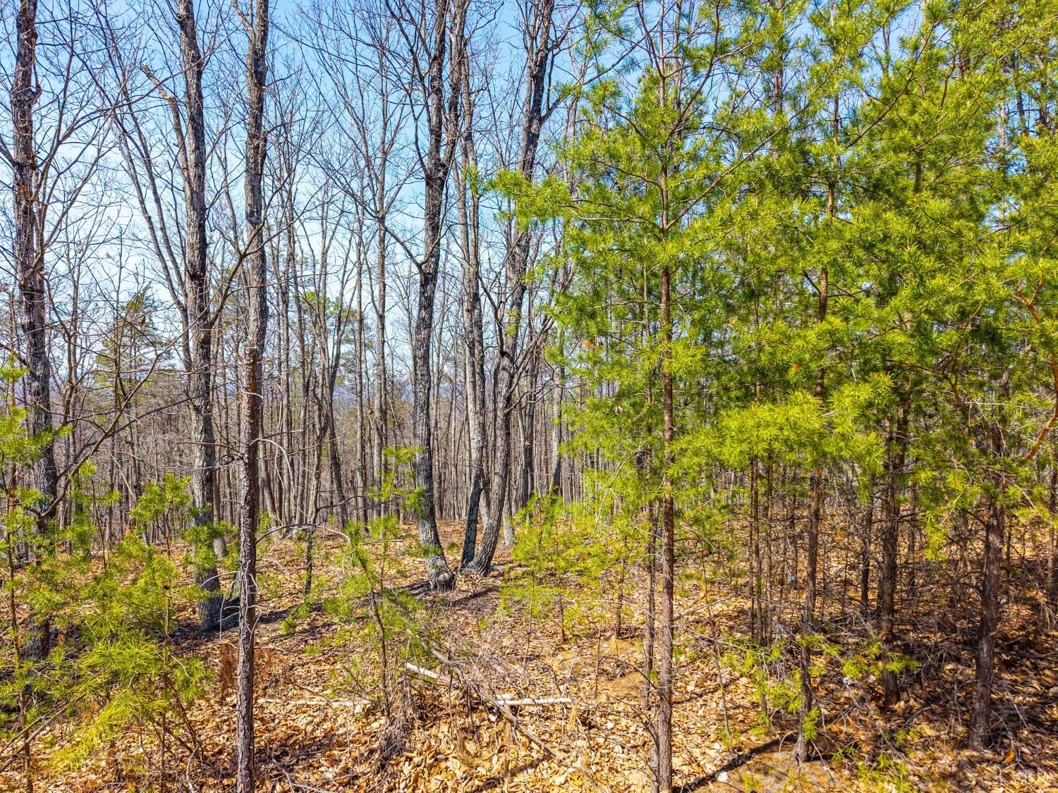 0 Larkin Mountain Road Amherst, VA 24521 - Photo 28 of 35