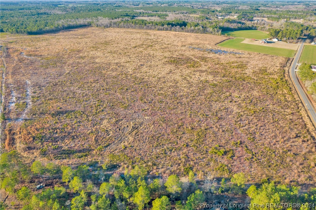0 South River School Road Wade, NC 28395 - Photo 2 of 12