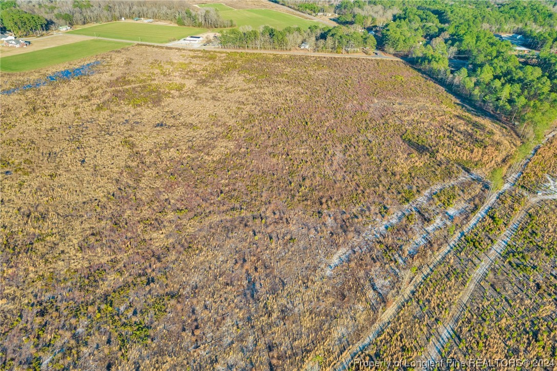 0 South River School Road Wade, NC 28395 - Photo 3 of 12