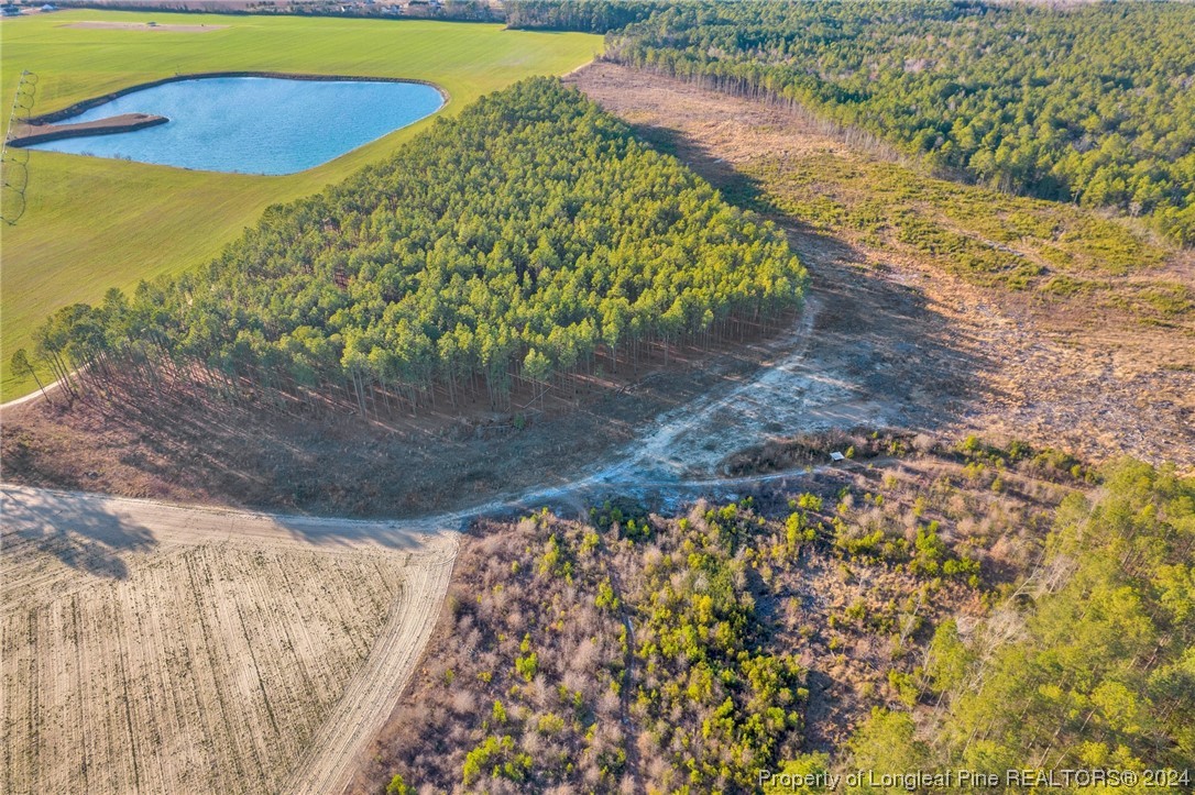 0 South River School Road Wade, NC 28395 - Photo 4 of 12