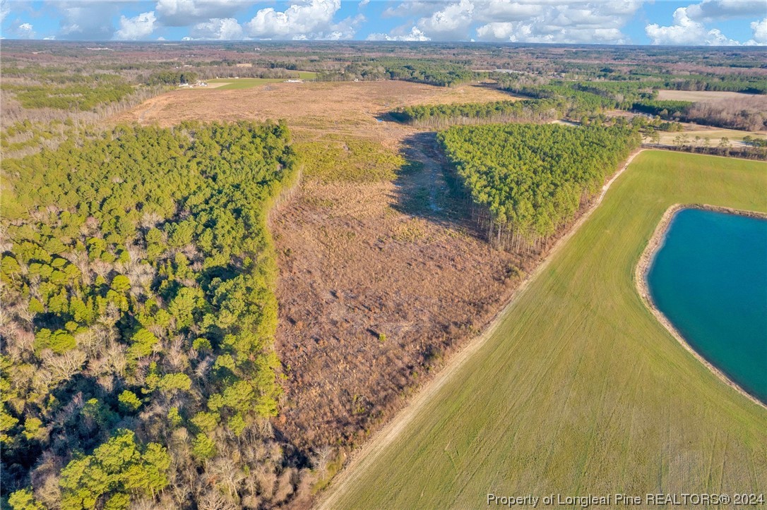 0 South River School Road Wade, NC 28395 - Photo 5 of 12