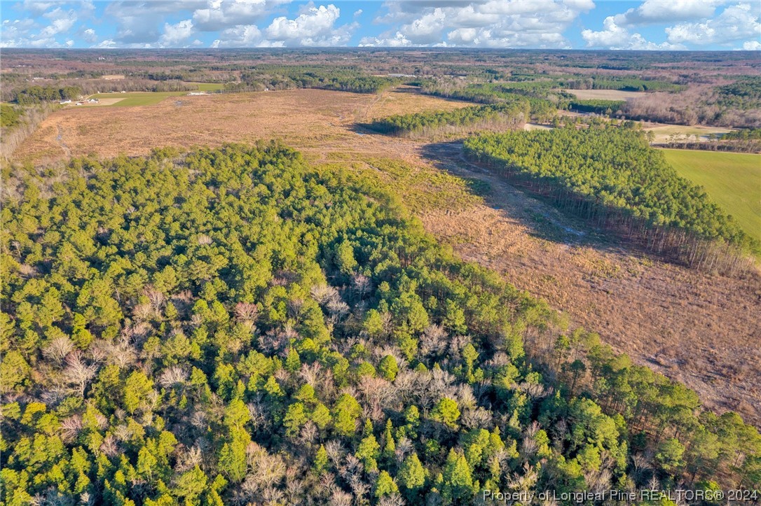 0 South River School Road Wade, NC 28395 - Photo 6 of 12