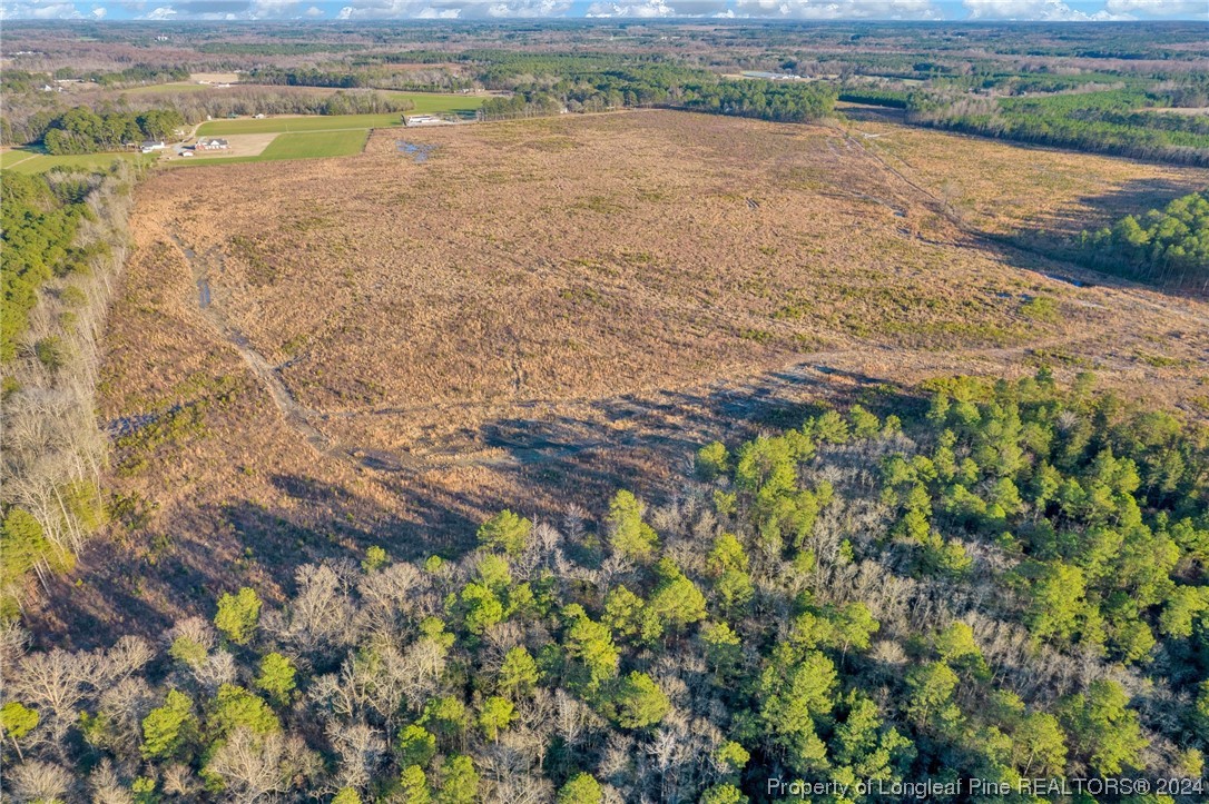 0 South River School Road Wade, NC 28395 - Photo 7 of 12