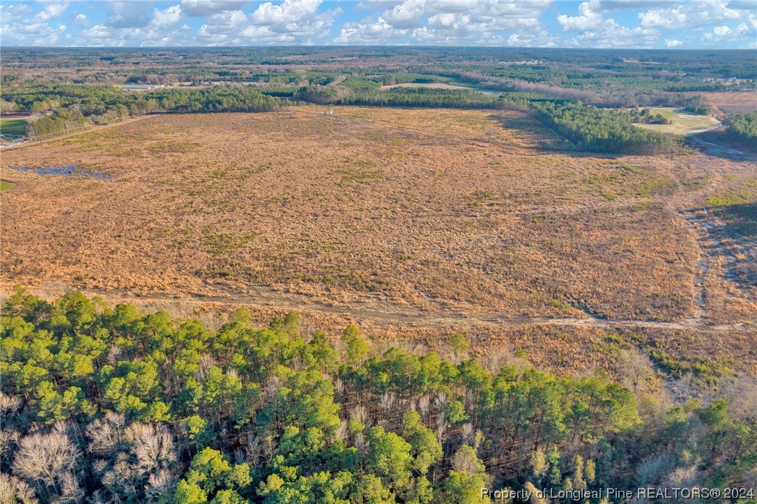 0 South River School Road Wade, NC 28395 - Photo 8 of 12