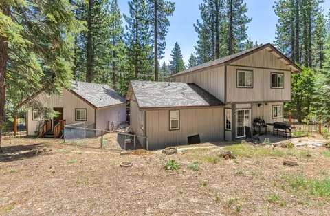 a view of a backyard with a large tree