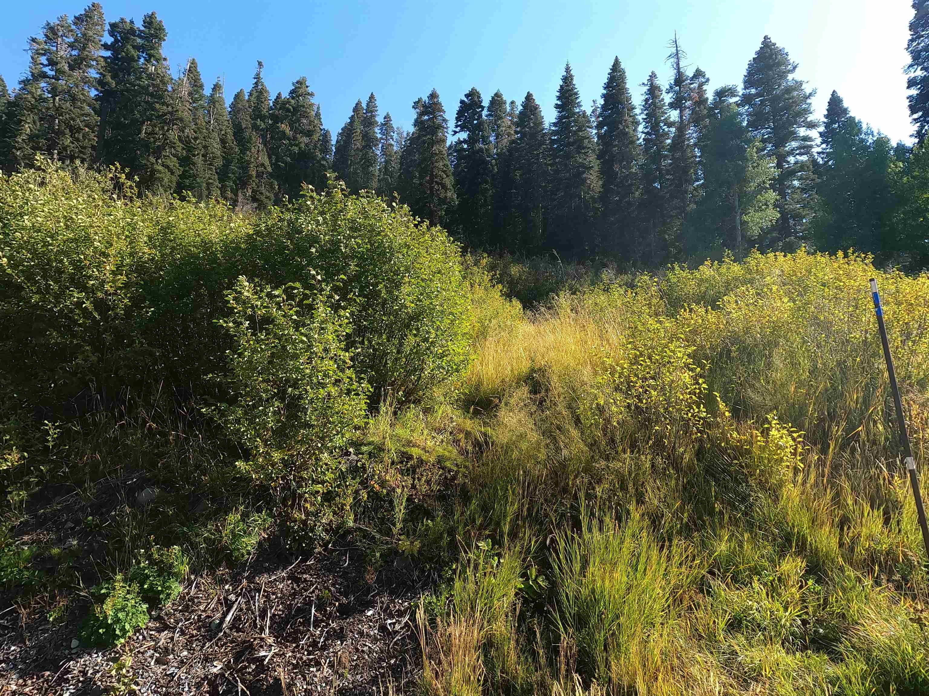 1051 Snow Crest Road Alpine Meadows, CA 96146 - Photo 7 of 14 Gallery Image 7