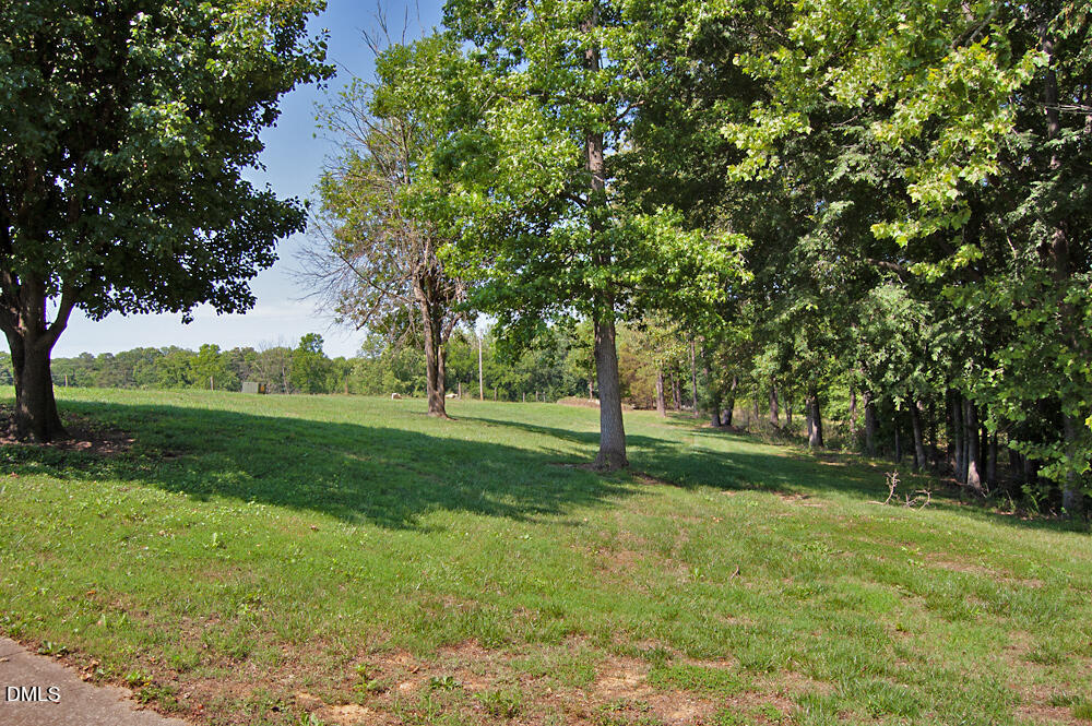 9166 Tilley Road Bullock, NC 27507 - Photo 23 of 86