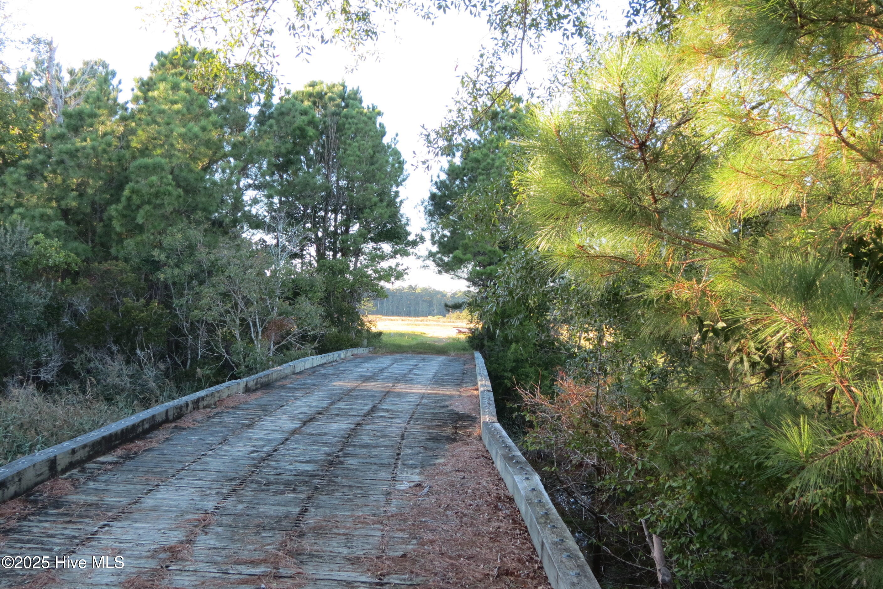 243 Wind Lake Road Oriental, NC 28571 - Photo 19 of 29 IMG_2391