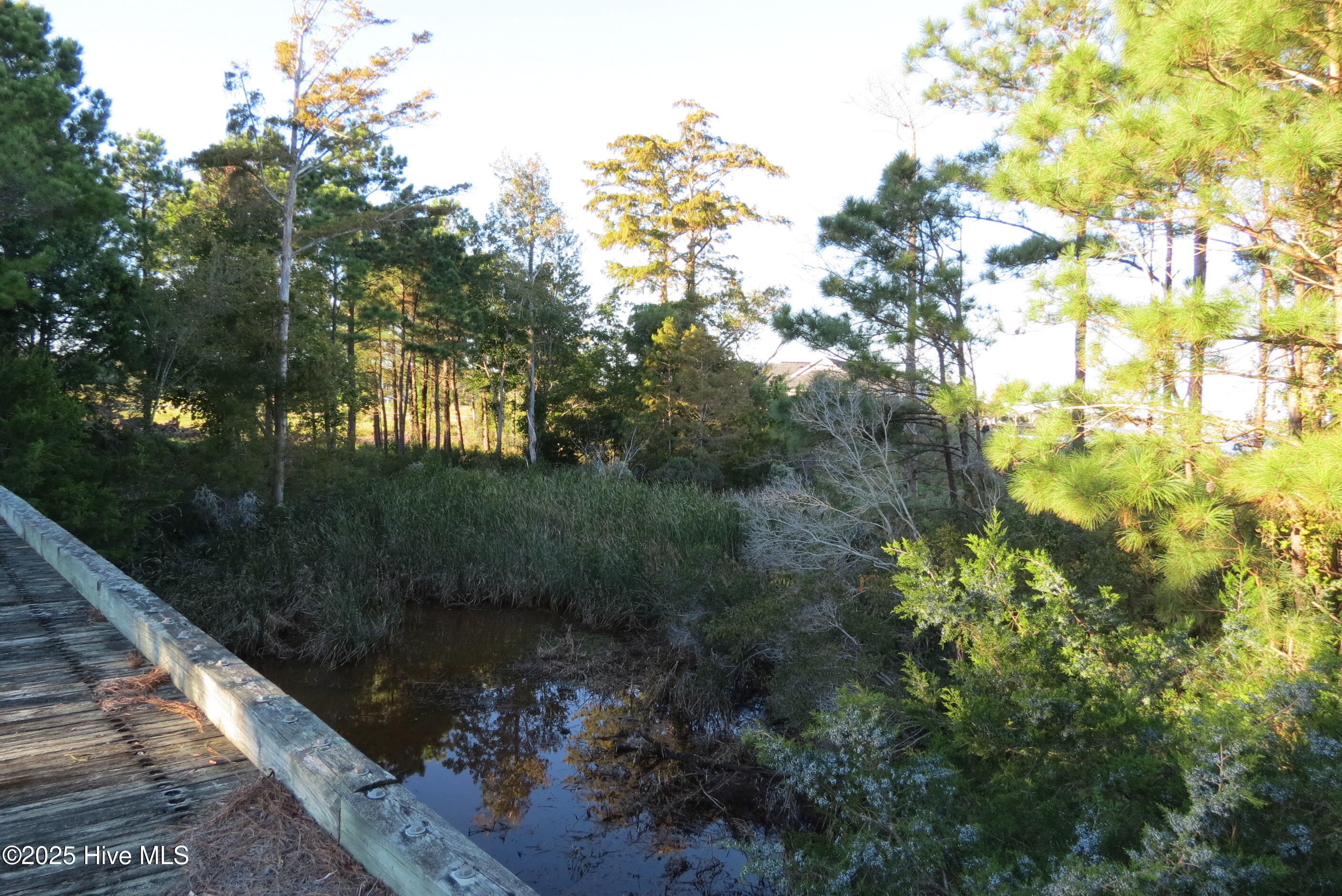 243 Wind Lake Road Oriental, NC 28571 - Photo 20 of 29 IMG_2392