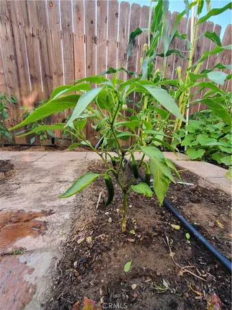 $4,500 | 1309 Hunt Terrace, Harbor City, CA 90710