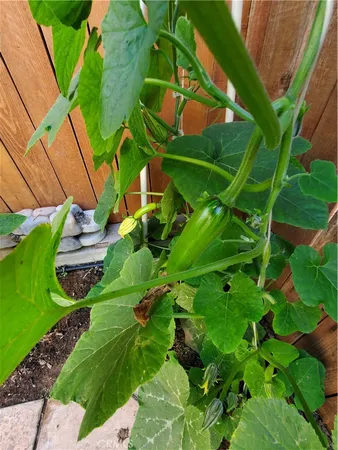 $4,500 | 1309 Hunt Terrace, Harbor City, CA 90710