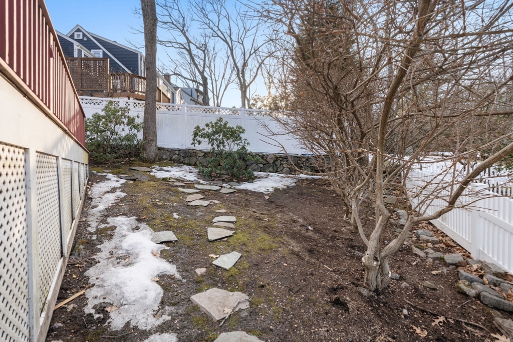 73 Roundwood Road Newton, MA 02464 - Photo 30 of 42 a view of a yard with large trees
