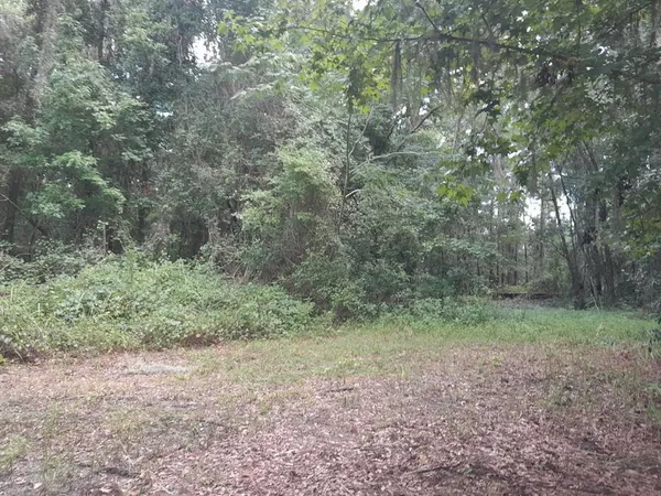 $109,500 | Tbd Northwest 172nd Place, Reddick, FL 32686