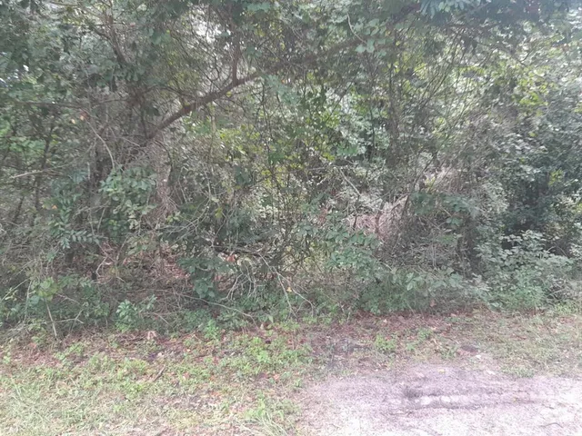 $122,000 | Tbd Northwest 172nd Place, Reddick, FL 32686