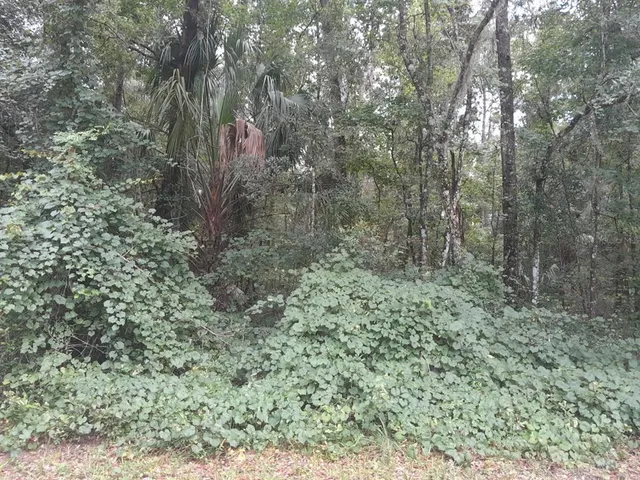 $122,000 | Tbd Northwest 172nd Place, Reddick, FL 32686