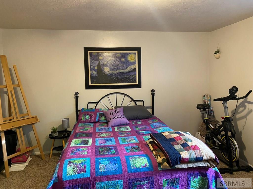 252 Summit Circle Challis, ID 83226 - Photo 36 of 51