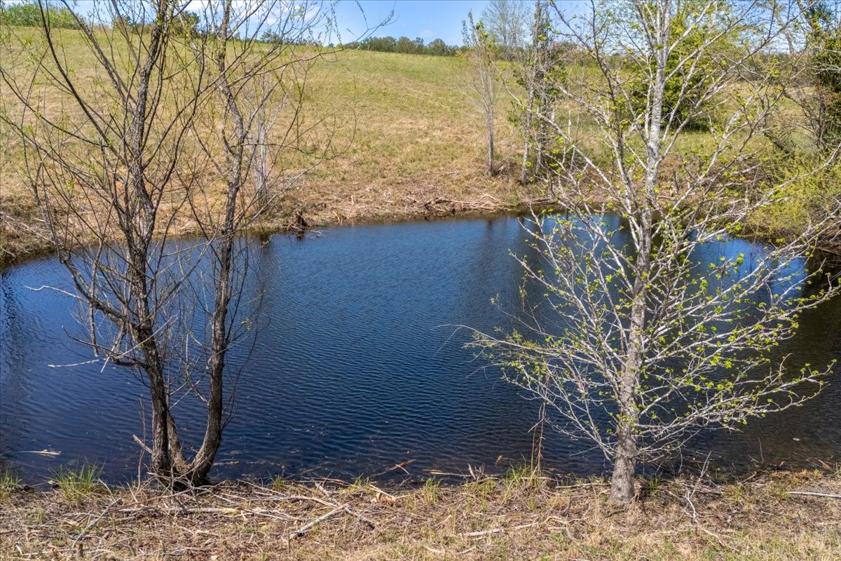 1849 Humphreys Co Line Road Dickson, TN 37055 - Photo 10 of 40 Gallery Image 10