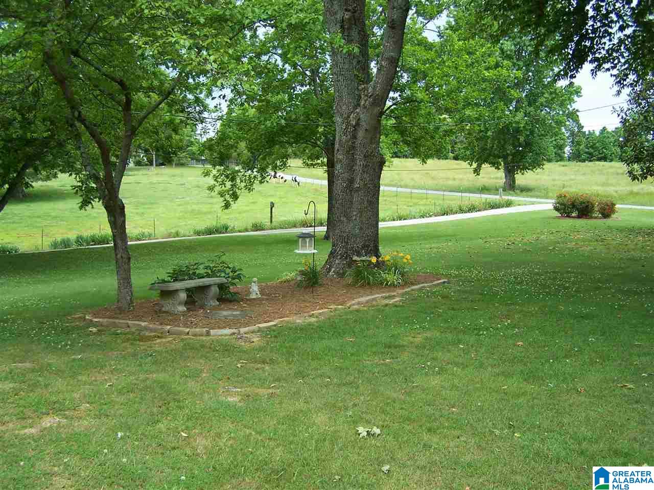 1595 Robin Hill Road Oneonta, AL 35121 - Photo 17 of 48