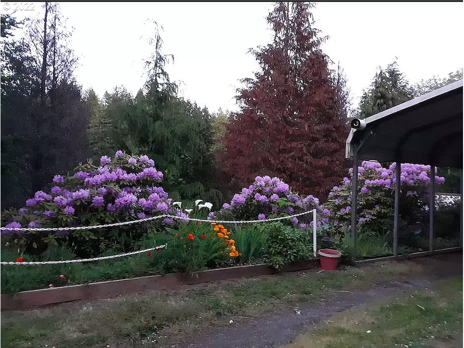 615 Bonneville Road Lakeside, OR 97449 - Photo 6 of 19 Gallery Image 6