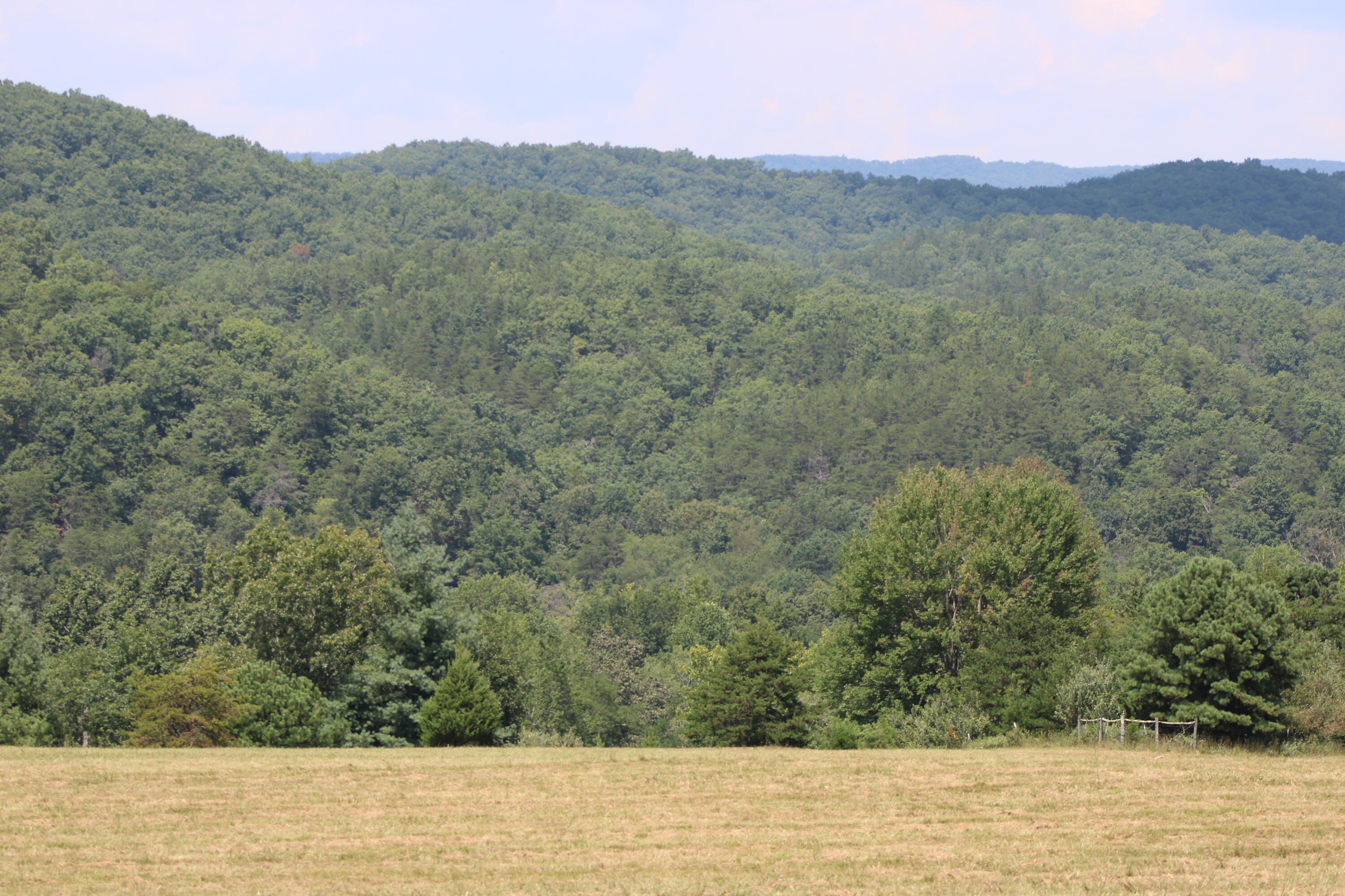 2816 Johns Creek Road New Castle, VA 24127 - Photo 21 of 96 IMG_0120