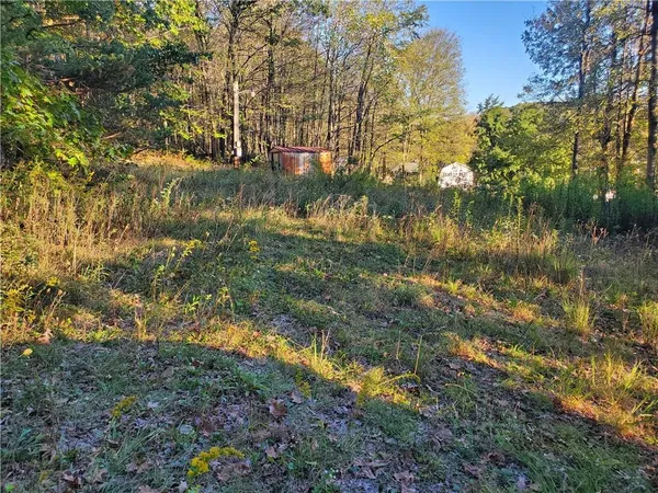 $29,900 | Tbd Morrow Road, Home, PA 15747