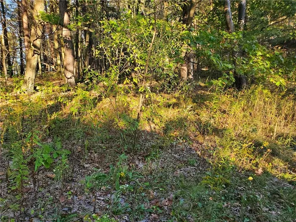 $29,900 | Tbd Morrow Road, Home, PA 15747