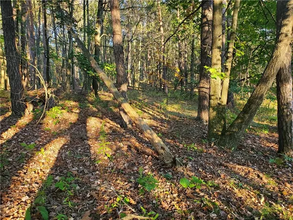 $29,900 | Tbd Morrow Road, Home, PA 15747