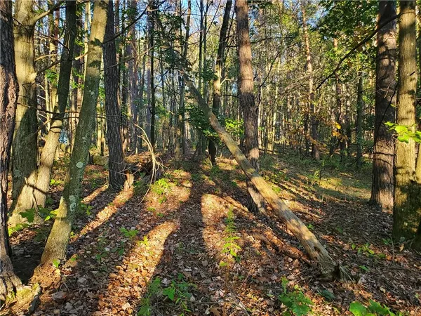 $29,900 | Tbd Morrow Road, Home, PA 15747