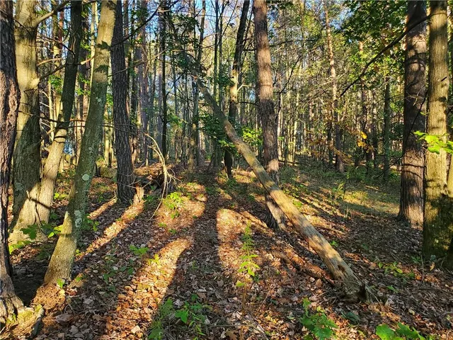 $29,900 | Tbd Morrow Road, Home, PA 15747