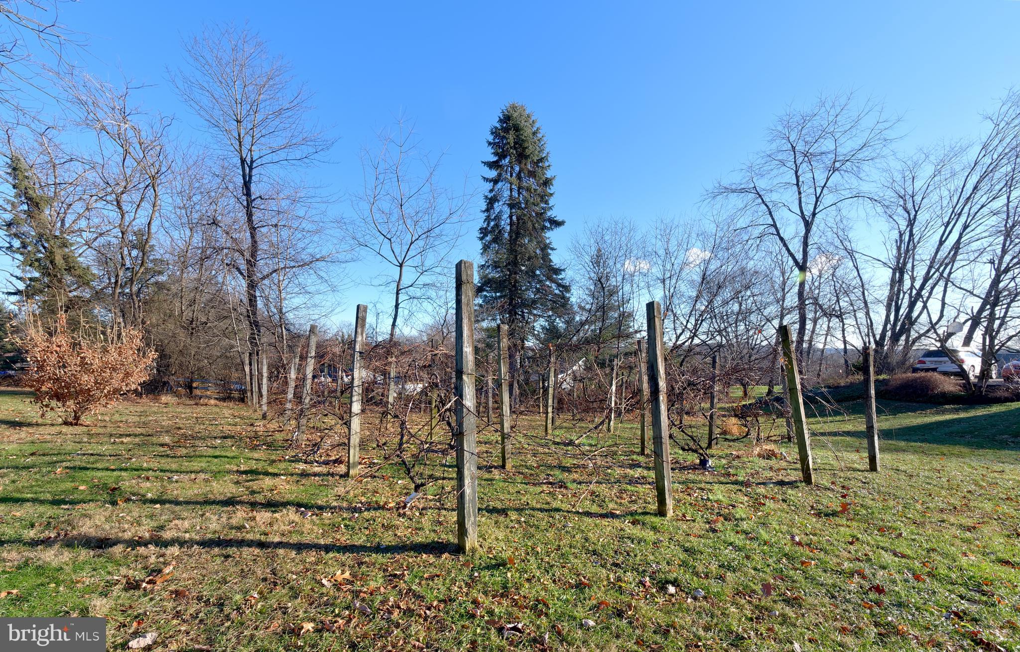7724 Locust Valley Road Coopersburg, PA 18036 - Photo 37 of 43 Vines
