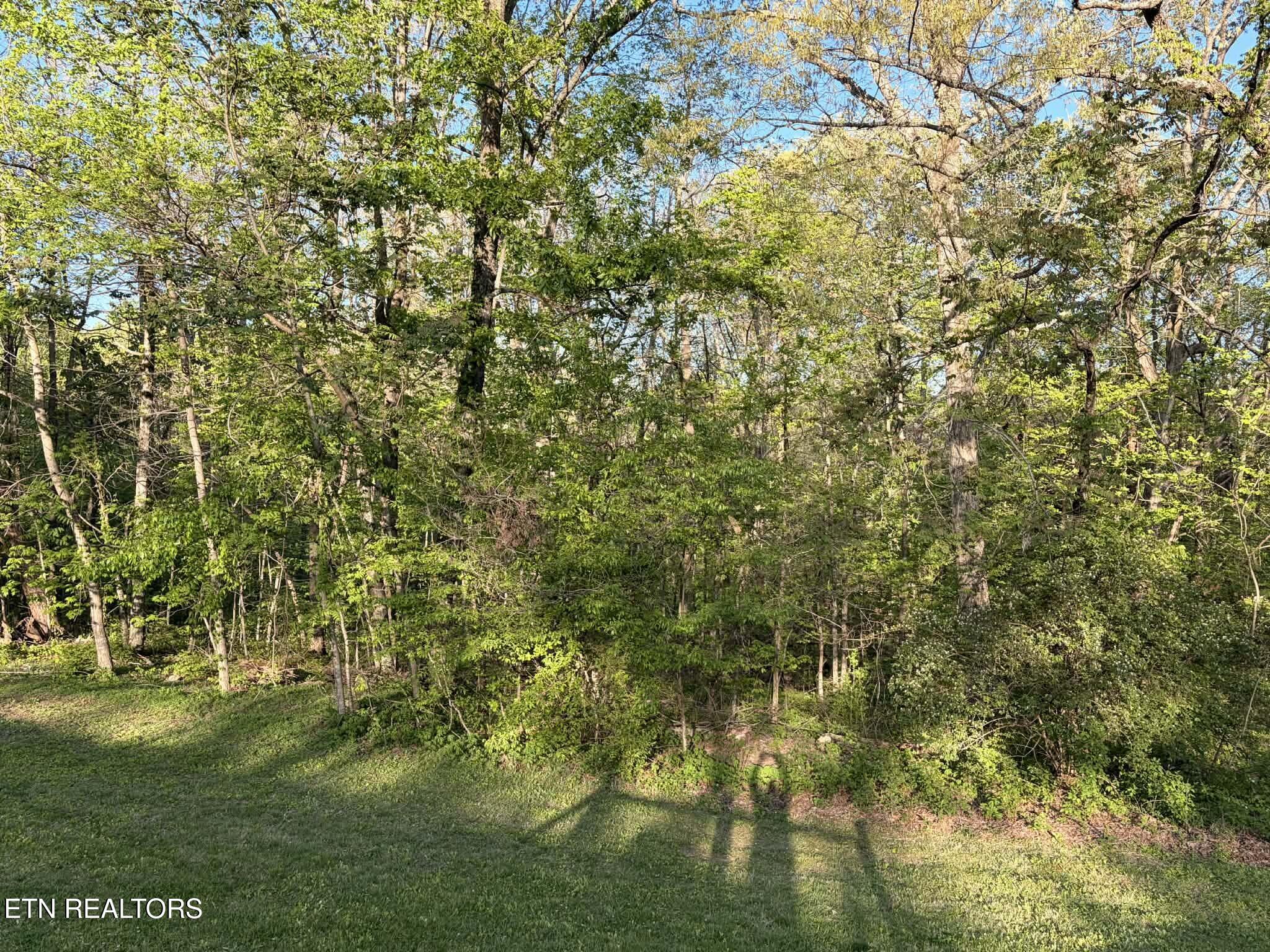 533 Robbins Road Crossville, TN 38572 - Photo 52 of 57 49