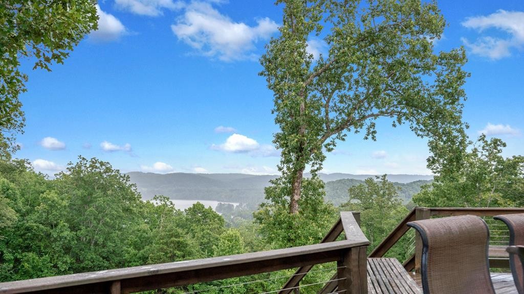 1797 Eads Bluff Road Northwest Georgetown, TN 37336 - Photo 54 of 61 Gallery Image 54