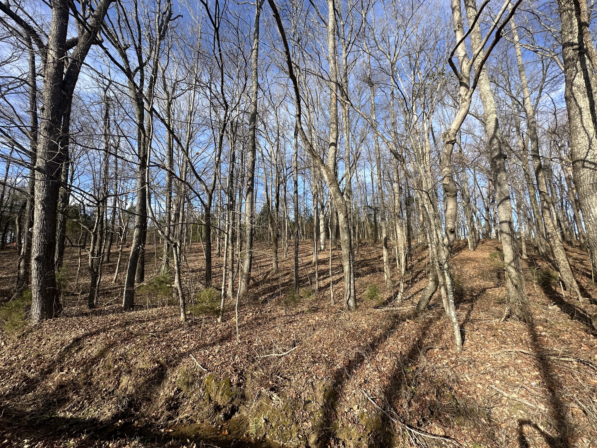 512 North Happy Hollow Road Portland, TN 37148 - Photo 6 of 10