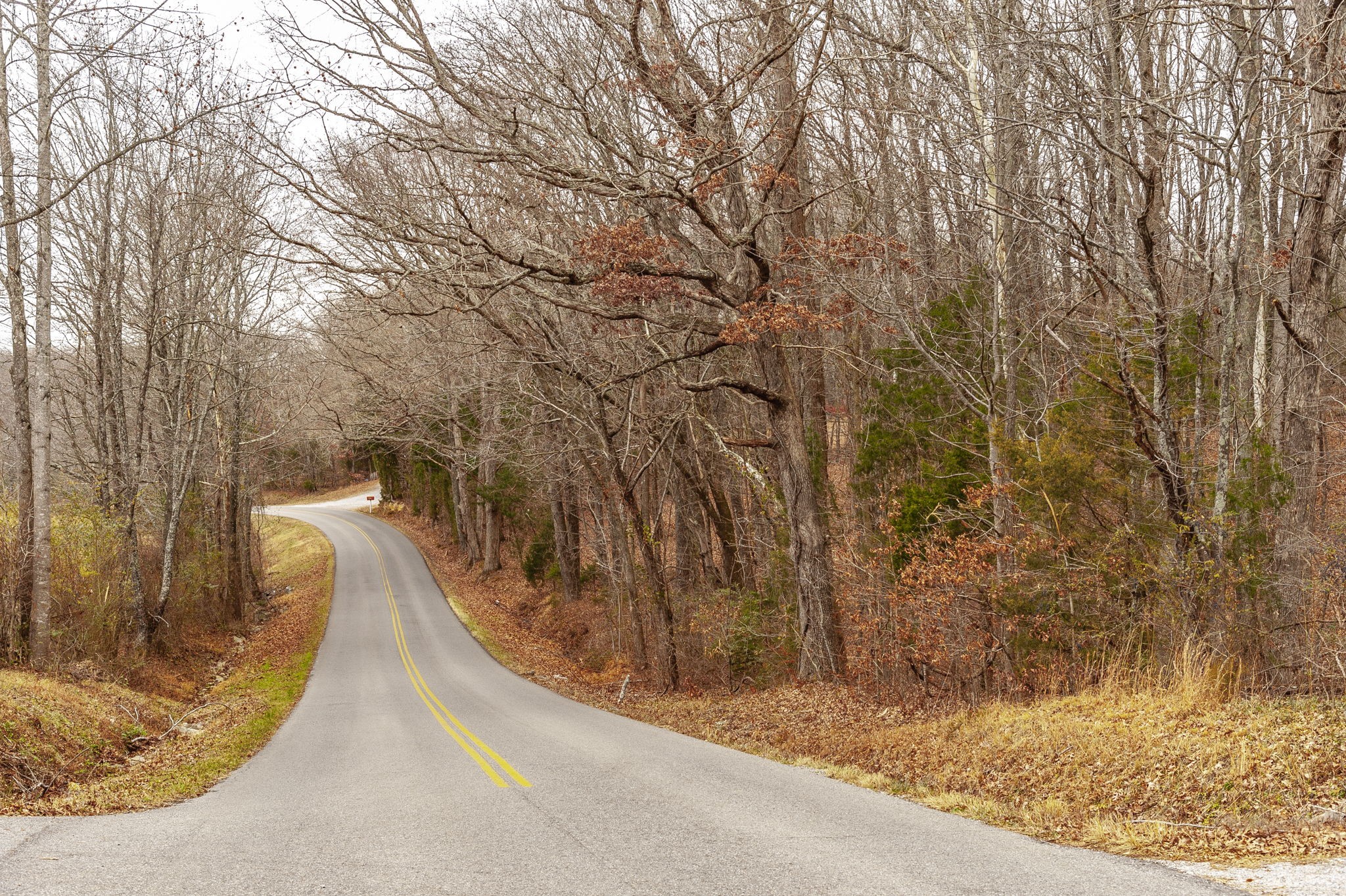 512 North Happy Hollow Road Portland, TN 37148 - Photo 8 of 10