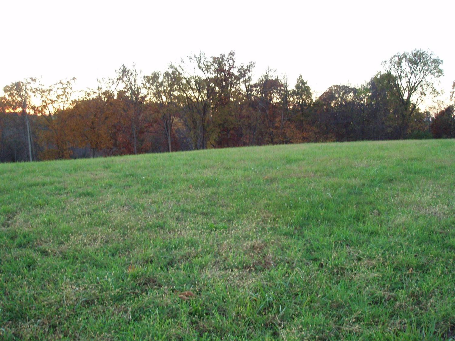 2342 Willow Neave Road Brooksville, KY 41004 - Photo 1 of 7 Gallery Image 1