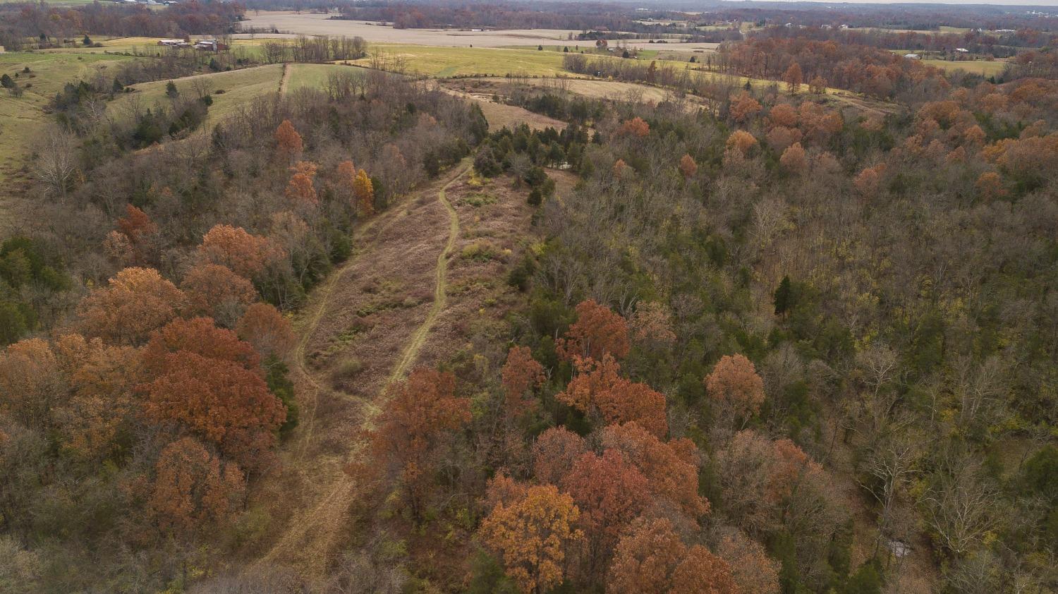 4928 Downey Ridge Road Dillsboro, IN 47018 - Photo 38 of 53