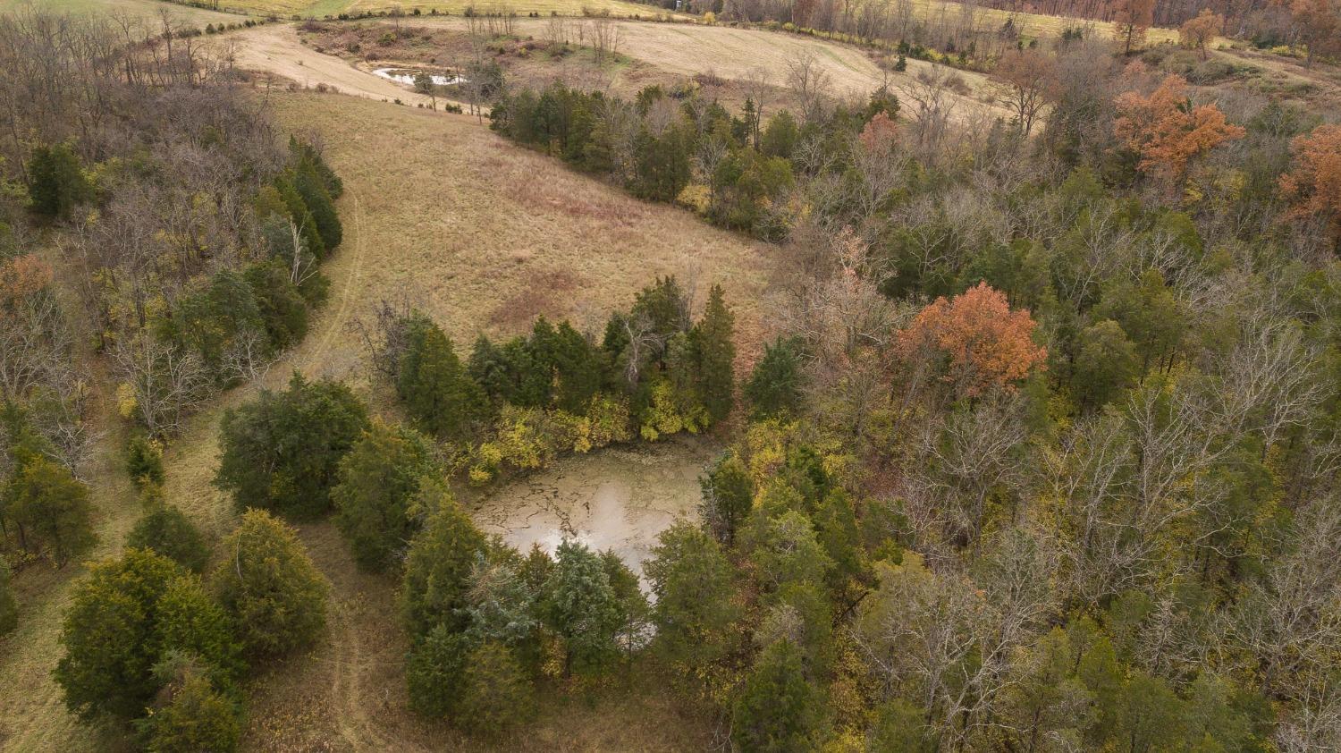 4928 Downey Ridge Road Dillsboro, IN 47018 - Photo 39 of 53