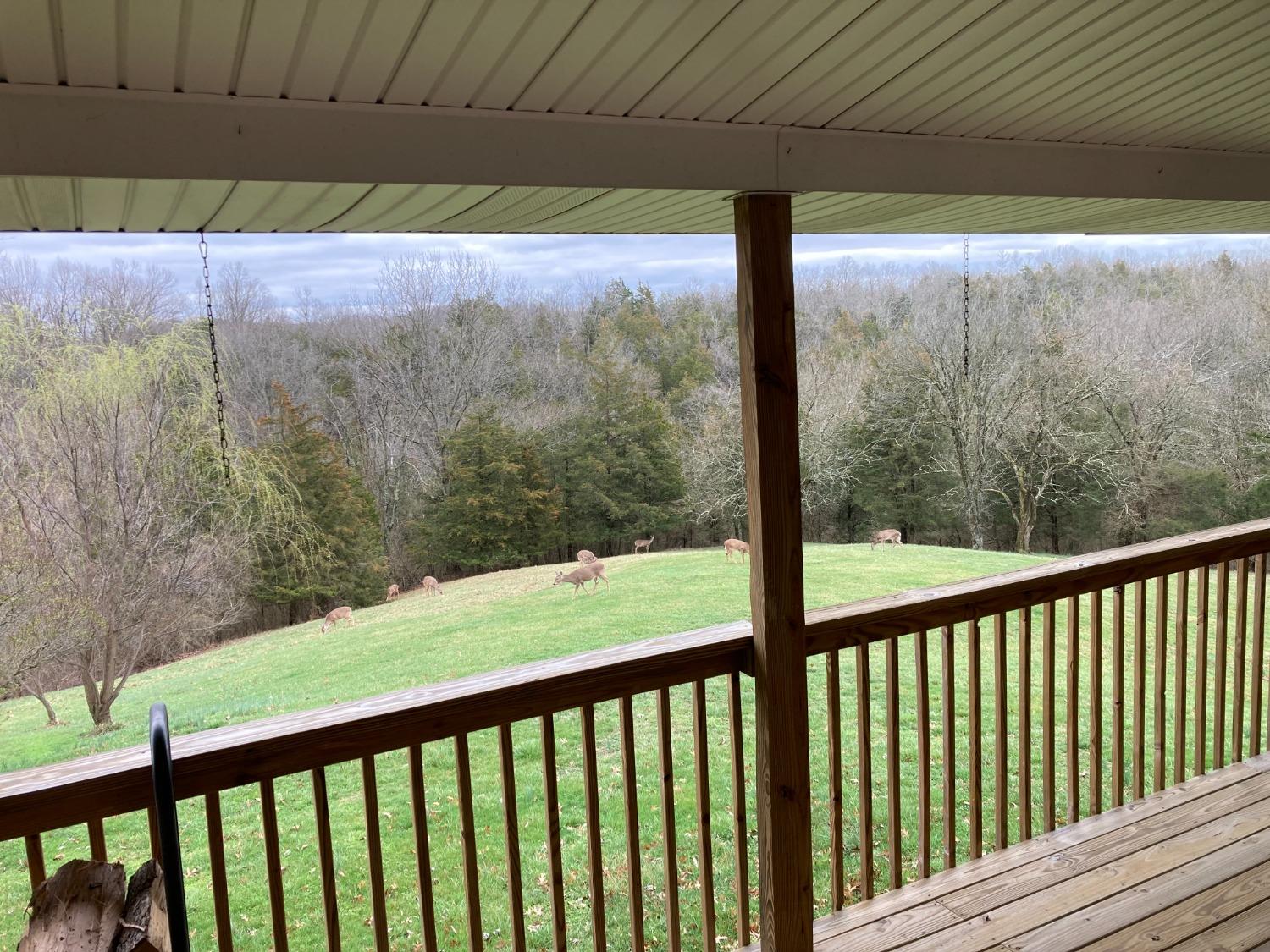 4928 Downey Ridge Road Dillsboro, IN 47018 - Photo 51 of 53
